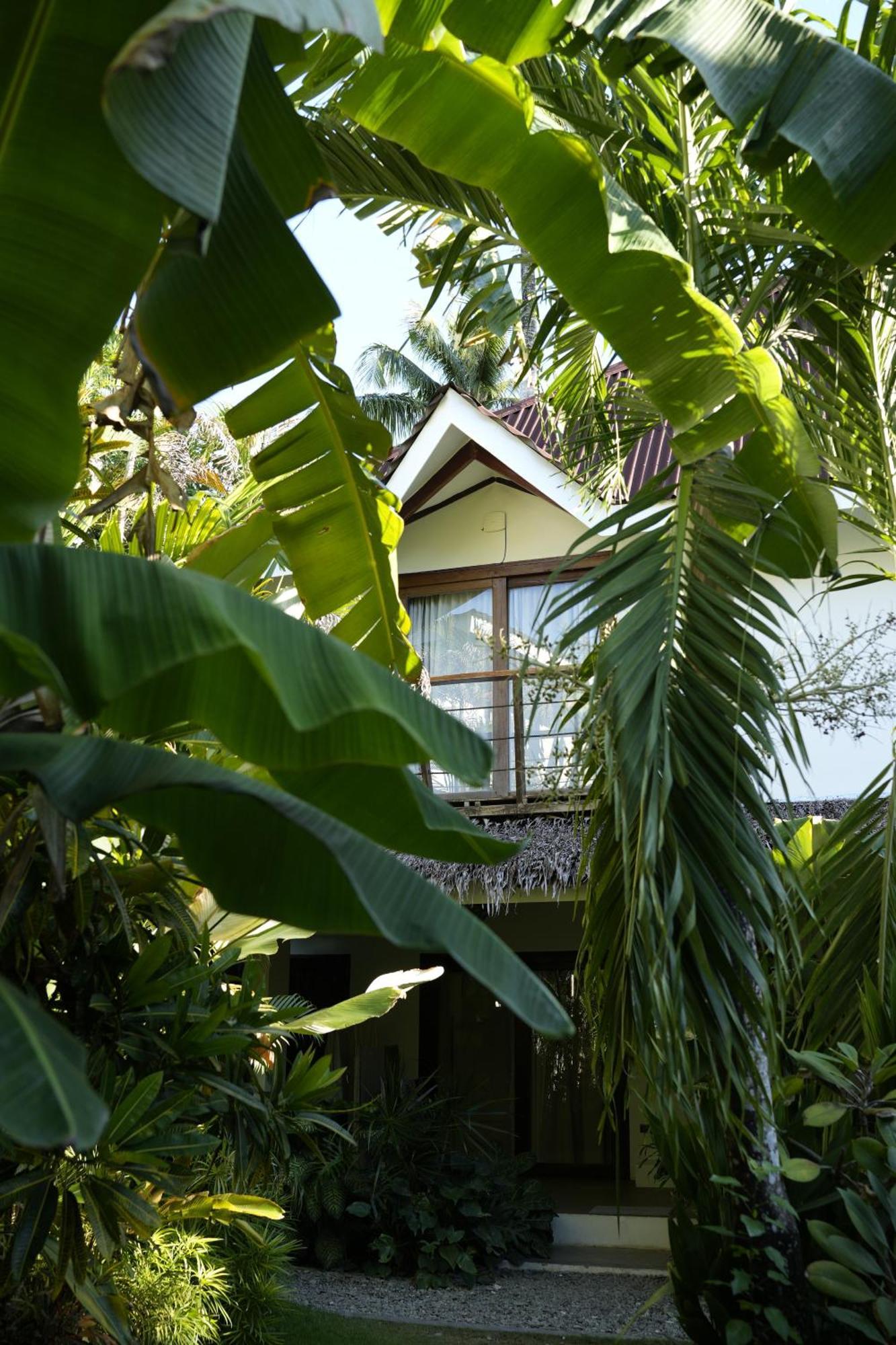 Katmon General Luna (Surigao del Norte)